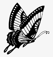 Also explore similar png transparent images under this topic. Free Butterfly Flying Butterfly Clip Art Black And White Png Image Transparent Png Free Download On Seekpng