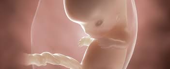 Auch schwangerschaftsakne ist in der 9. 9 Ssw Schwangerschaftskalender Aptaclub
