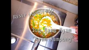 Confirm anak akan lagi berselera bila tambah. Resepi Sup Ayam Untuk Bayi 10 Bulan