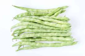 Kentucky wonder pole beans trellis. 10 Great Heirloom Pole Bean Varieties
