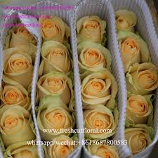 Best cut flowers for bouquets. Best Wholesale Distributors Of The Highest Quality Fresh White Roses Cut Fresh Flowers Flower Bouquets For Weddings Buy Fresh Cut Rose Flowers Fresh Cut Flowers Pictures Fresh Cut Flowers Product On Alibaba Com