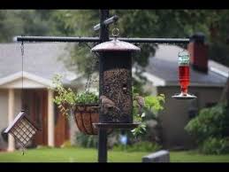 Bird Feeder Pole With Baffle Best Squirrel Proof Bird Feeder Pole And Baffle System Youtube With Images Squirrel Proof Bird Feeders Bird Feeder Poles Birds
