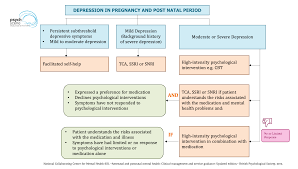 Principles Of Antidepressant Prescribing In Pregnancy And Postnatal Period