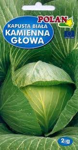 Image result for hlávková kapusta