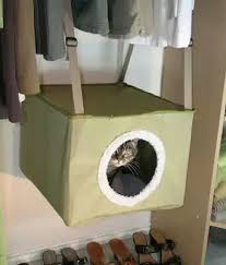hanging kitty closet bed cat bed cat furniture pets
