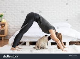 Woman Practice Yoga Downward Facing Dog Or Yoga Adho Mukha Svanasana Pose To Meditation And Kissing Her Dog Pug Breed E Dog Stock Photo Photo Editing Pug Breed