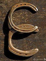 The english alphabet consists of 26 letters. Letter E Alphabet Photography Letters Letter Photography Alphabet Photography
