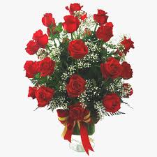 We did not find results for: Send Flowers To Bangalore With Florazone Same Day Midnight Flower Delivery In Bangalore Online Florist Flora Zone