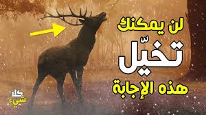 هل خلق الله الحيوانات كلها بالجنة ثم أ نزلت على الأرض Youtube