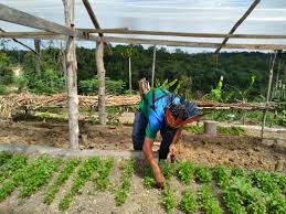 23 hours ago · o dia do agricultor é celebrado em 28 de julho, data criada em razão de ter sido nesse dia, em 1960, a fundação do ministério da agricultura, no mandato de juscelino kubitschek. N2x Edcr1oyc4m