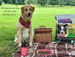 Genuine Testimonials From Loving Pet Parents Dog Food Reviews Chicken And Brown Rice Brown Rice Recipes