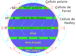 Un vent de panique a soufflé sur la foule (figuré). Alize Wikipedia