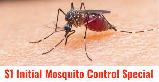 Arrow termite & pest control has called baton rouge home for almost 60 years. Mosquito Control Services Baton Rouge Arrow Termite Pest Control