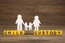 I would like to know what i should do in other words, is mom going to be out and able to get visitation with her child before your plan goes into effect? What Are My Custody Options In South Carolina King Law