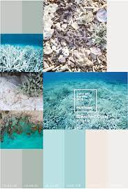 bleached coral 2020 palette google meklesana colour pantone palettes 7458