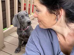 Notes, Stories and Photos From Baar None Weims Customers