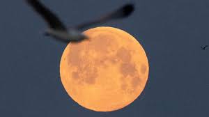 A partial lunar eclipse occurred on the 16 and 17 july 2019. Cosmic 2 For 1 Total Lunar Eclipse Combines With Supermoon Cgtn The Malaysian Daily