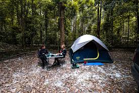 How much does a trip to australia cost? Budget Australia And Prices What Does A Road Trip In Australia Cost