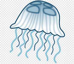 We did not find results for: Cartoon Jellyfish Pictures Png Images Pngwing