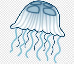 Sketsa gambar buah untuk diwarnai. Cartoon Jellyfish Pictures Png Images Pngwing