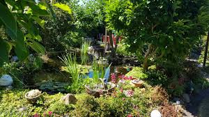 Botanische nacht im botanischen garten berlin auf 27. Woche Des Gartens Das Sind Die Schonsten Gartenfotos Der Bremer Buten Un Binnen