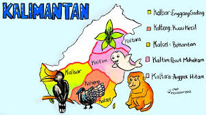 Persebaran flora dan fauna di indonesia lengkap serta peta pembagiannya. Cara Menggambar Membuat Peta Persebaran Flora Dan Fauna Langka Di Kalimantan Indonesia Ep 225 Youtube