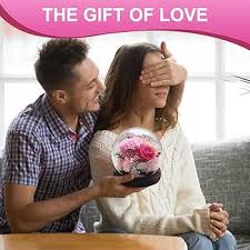 Amazon.com: SUOSIHUALI Valentines Day Gifts for Her, Preserved Flowers in  Glass Dome, Long-Lasting Eternal Roses Birthday Gifts for Women Mom Grandma  ...