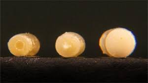 It is similar to many other cook following the steps on how to cook pasta al dente. What Is Al Dente Rouxbe Online Culinary School