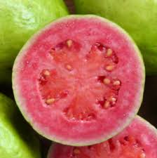 Image result for Psidium guajava