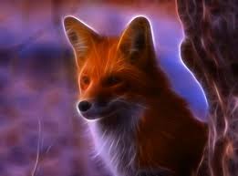 I searched for this on. Animal Cool Wallpapers 4k Hd Animal Cool Backgrounds On Wallpaperbat