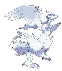 Ils possèdent une force et des statistiques très élevés, ce qui explique l'intérêt des joueurs. Reshiram Coloriage Pokemon Legendaire Reshiram A Imprimer Et Colorier