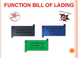 We did not find results for: Anatomy Of Shipping Bill Of Lading Group Members