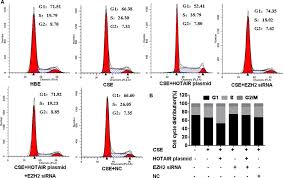 Download software pc teraman : Epigenetic Silencing Of P21 By Long Non Coding Rna Hotair Is Involved In The Cell Cycle Disorder Induced By Cigarette Smoke Extract Sciencedirect