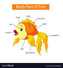 Introduce the topic with rhymes and songs like head, shoulders, knees and toes or if you're happy, and you know it or games like simon says. Pin On Clipart