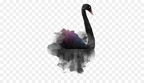 Painting Cartoon Download 420+ royalty free cartoon black swan vector images. painting cartoon