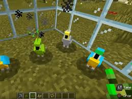 Check spelling or type a new query. How To Tame A Parrot In Minecraft And Get It On Your Shoulder