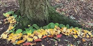 FSA Suffolk Autumn Networking and Sharing Event