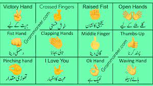 Pin On Urdu To English Quiz