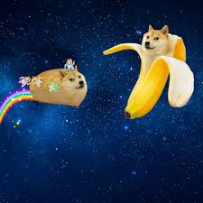 Check spelling or type a new query. 5lij0xcvrqiym