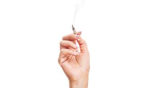 We did not find results for: Ways To Smoke Weed Without Anyone Noticing Potent