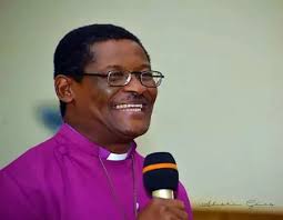 Creation of new dioceses: Archbishop Onuoha to serve as chairman of  Province II team