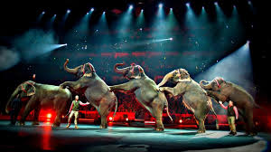 ringling brothers and barnum bailey circus to stop