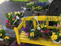We did not find results for: Blumenladen Haberscheidt Auch Sonntags Geoffnet Blumen Fur Koblenz Co