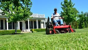 Our lawn care services begin with the root to ensure it is strong and healthy. Uber Style Lawn Care App Greenpal Lets You Find Grass Cutting Services