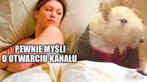Szef rządu zapowiedział też, że zmianie ulegnie termin odmrażania klubów fitness i restauracji. Otwarcie Najlepsze Memy Zdjecia Gify I Obrazki Kwejk Pl