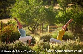 Check spelling or type a new query. Permaculture In Spiritual Community