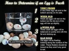 If the egg sinks and lays on its side, it's safe to eat; How To Tell If Eggs Are Bad Just A Pinch Recipes