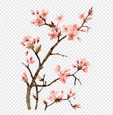 Polish your personal project or design with these cherry blossom tree transparent png images, make it even more personalized and more attractive. Pink Flowering Tree Cherry Blossom Watercolor Painting Drawing Drawing Peach Flower Arranging Pencil Branch Png Pngwing