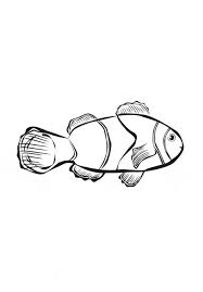 Keep your kids busy doing something fun and creative by printing out free coloring pages. Clownfish Coloring Page Animals Town Animals Color Sheet Clownfish Printable Coloring