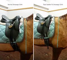 Official australian distributor of barefoot treeless saddles, horse riding equipment, horse riding gear, equestrian clothing, bridles, bitless bridles and hackamores. Product Review Total Saddle Fit Girth Colorado Horse Forum